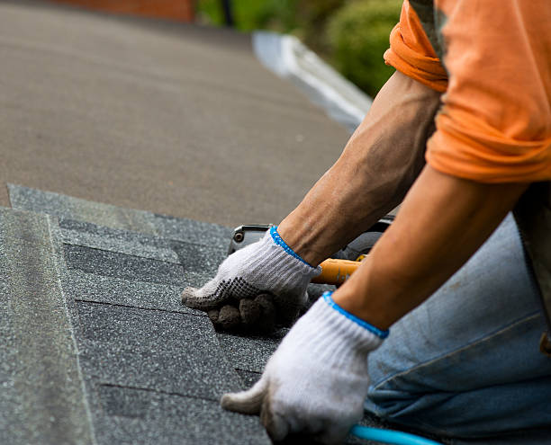 Roof Repair Estimates in Wilson, PA