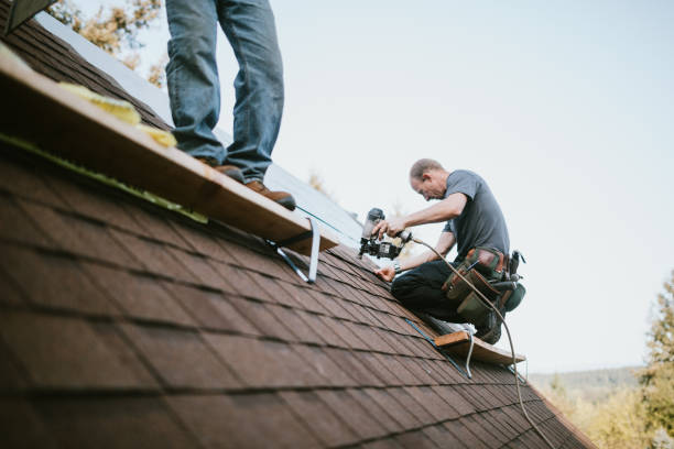 Quick and Trustworthy Emergency Roof Repair Services in Wilson, PA
